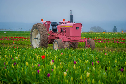 Pink Tractor!