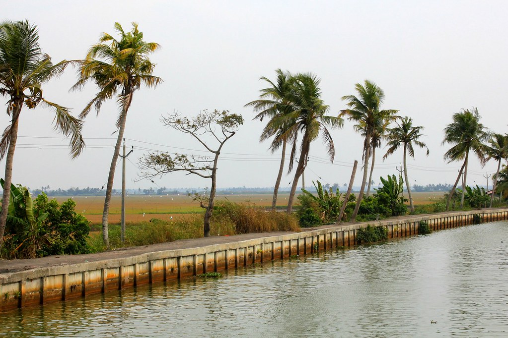 Maisema Intian suistoalueelta Keralassa.