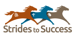 Strides to Success Logo