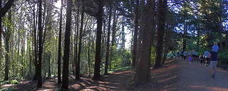 Presidio Trail Run - Ecology trail upper pano