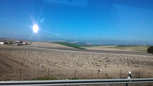 On the road from Jerez, Spain to Tavira, Portugal