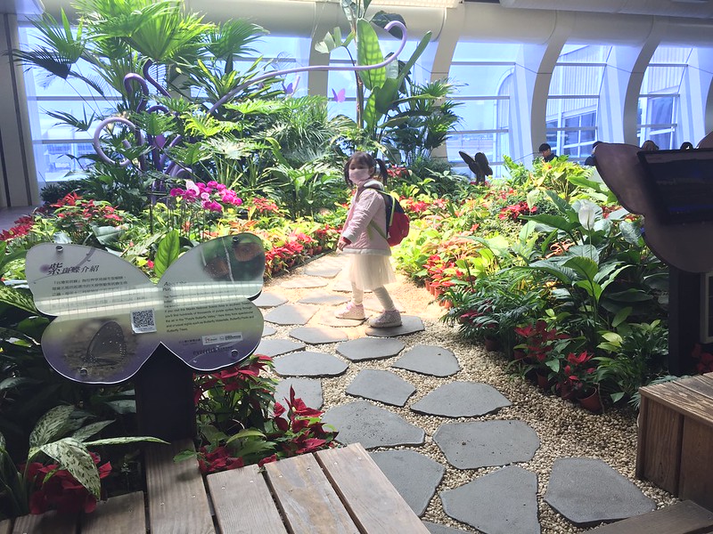 高雄 小港機場 令人驚豔的熱帶小花園