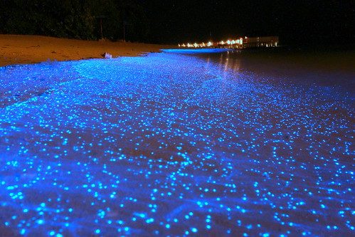 Maldives‎-blue sand