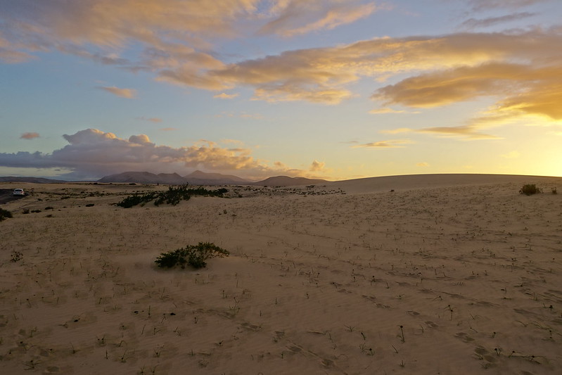 Fuerteventura (Islas Canarias). La isla de las playas y el viento. - Blogs de España - Corralejo, Islote de Lobos (vuelta a la isla, ruta a pie) y Dunas de Corralejo. (61)