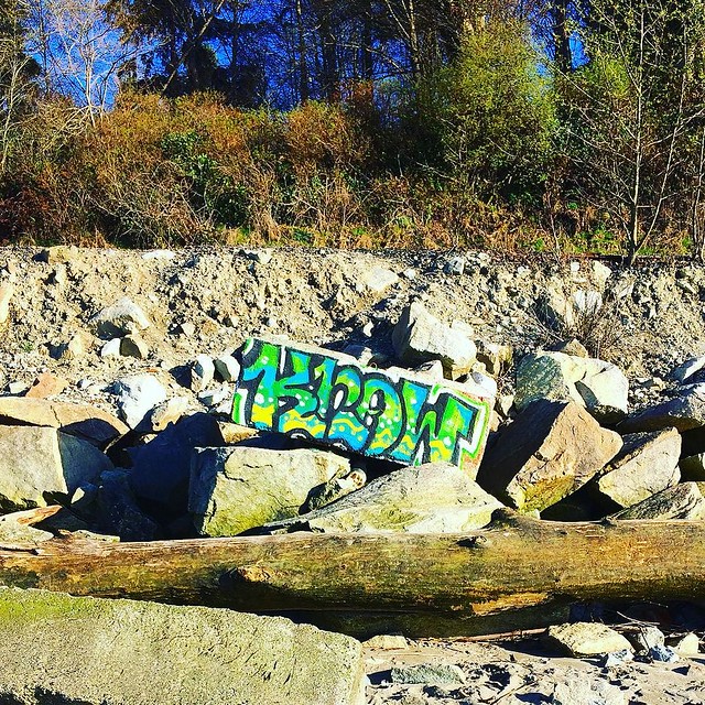 Graffiti in nature.