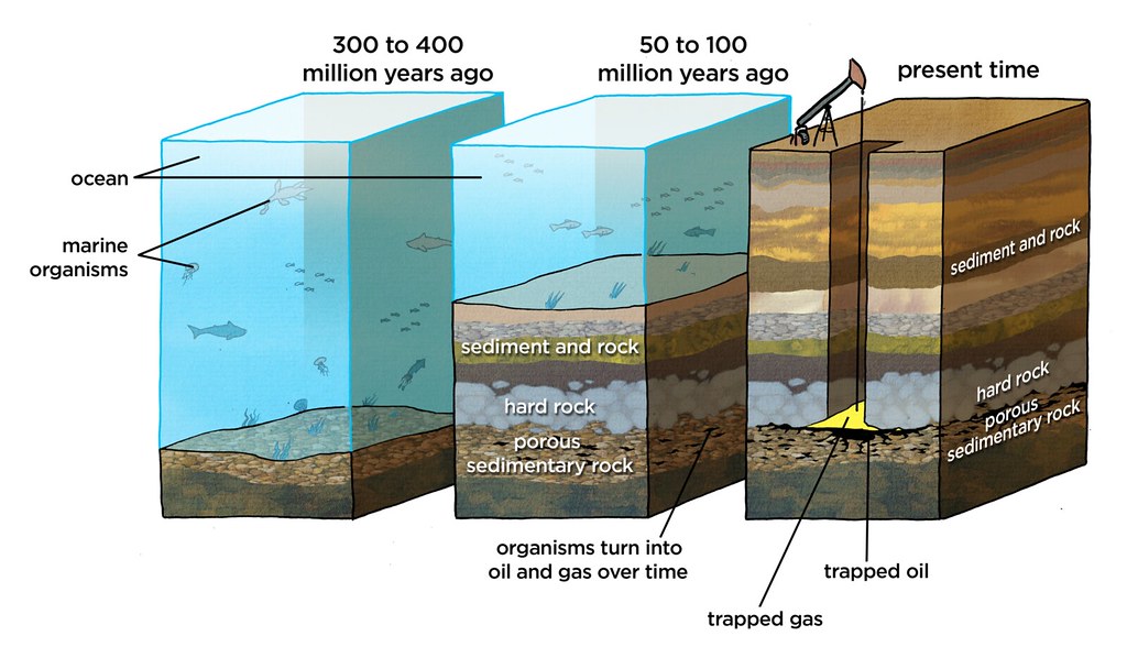 formation of fossil fuels diagram