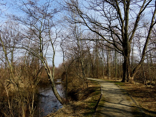 Stu Visser Trail