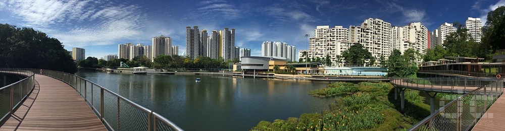 singapore,pang sua pond,senja-cashew community club,abc waters,elevated boardwalk,bukit panjang,stormwater collection ponds,water reservoir,where to go in singapore,