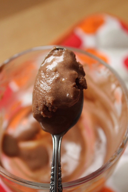 Double Chocolate Peanut Butter Ice Cream