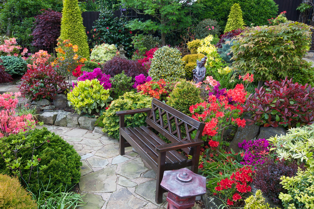 Garden seat amongst the late spring azalea flowers | Flickr