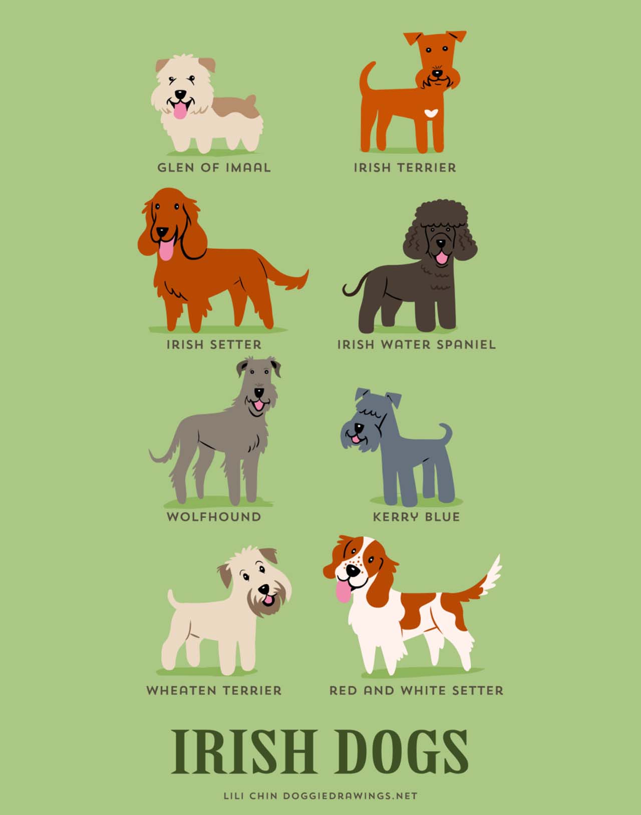 Origin Of Dogs: Cute Illustration By Lili Chin Show Where Dog Breeds Originating From #15: Irish Dogs