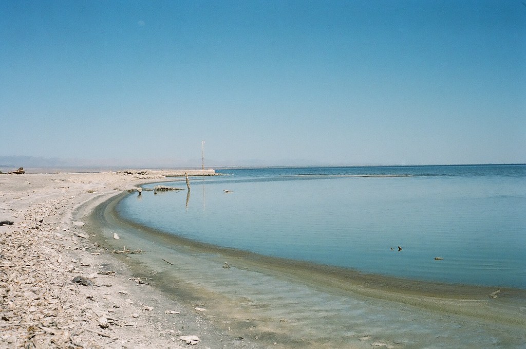 Salton Sea with Weyes Blood