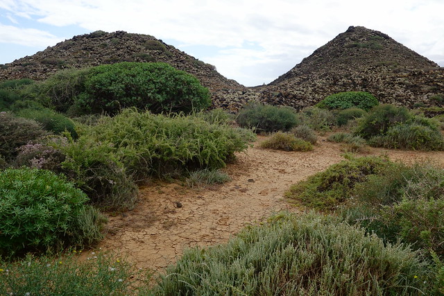 Fuerteventura (Islas Canarias). La isla de las playas y el viento. - Blogs de España - Corralejo, Islote de Lobos (vuelta a la isla, ruta a pie) y Dunas de Corralejo. (36)
