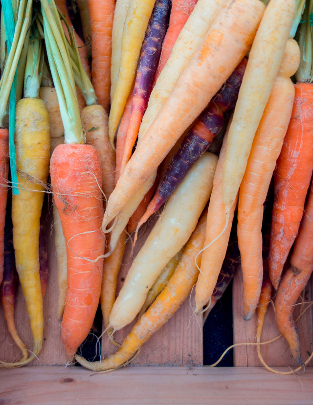 colourful carrots - RHS cardiff