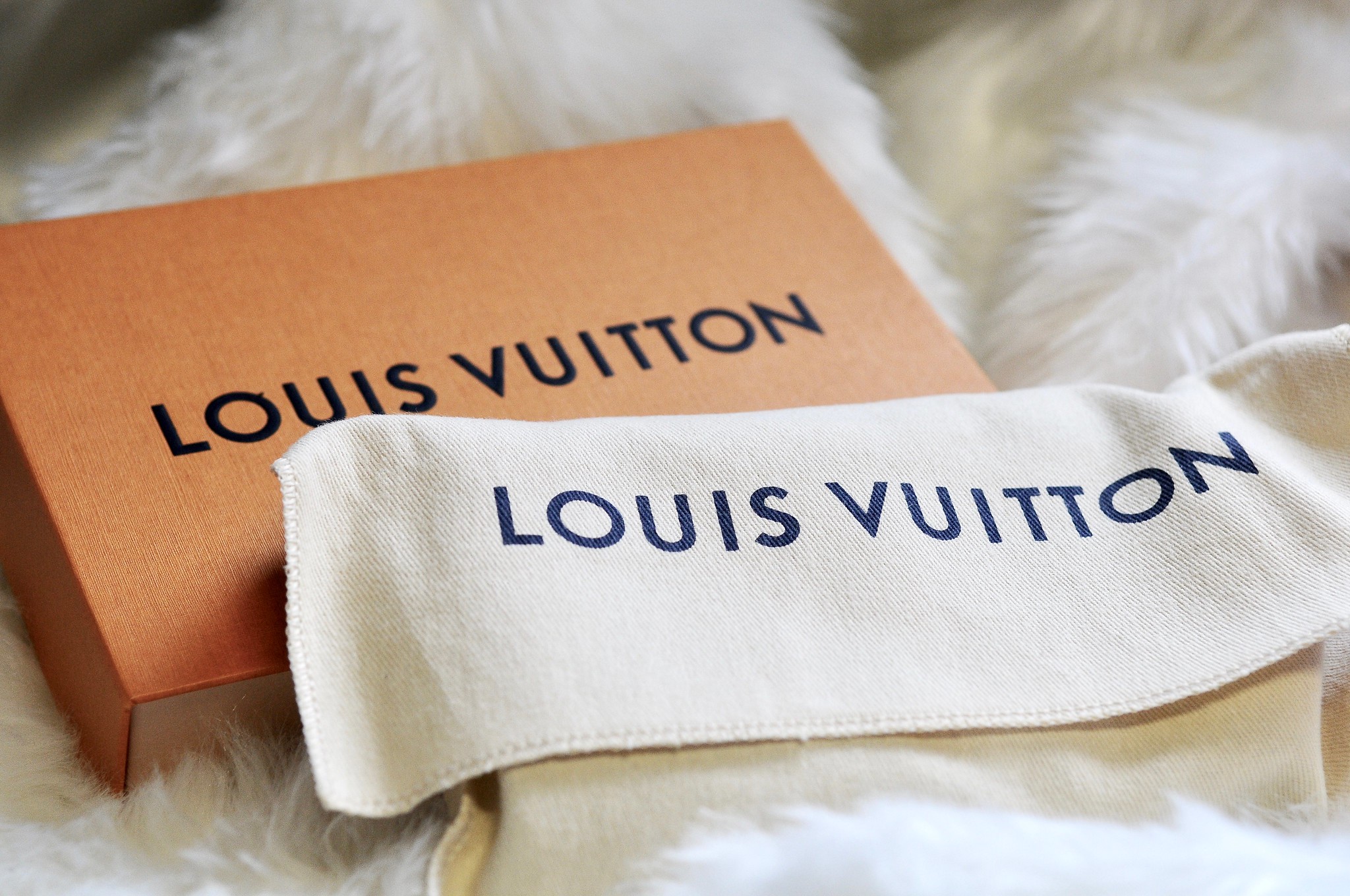 Louis Vuitton Planner Party