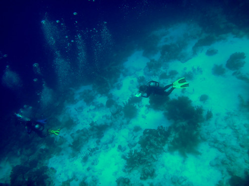 Trip to Bonaire - Underwater Sketching Process