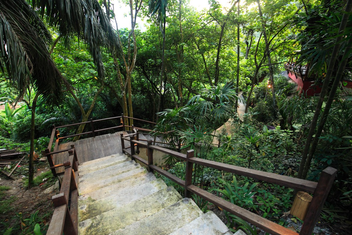 Tamarind Springs Stairs