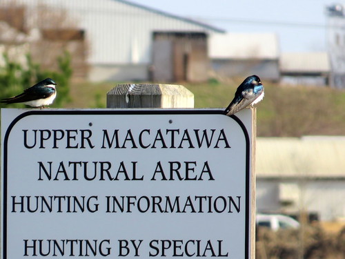 Upper Macatawa Natural Area