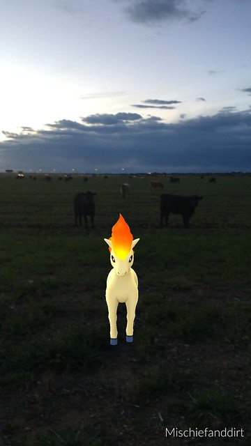 Cows and Pokemon