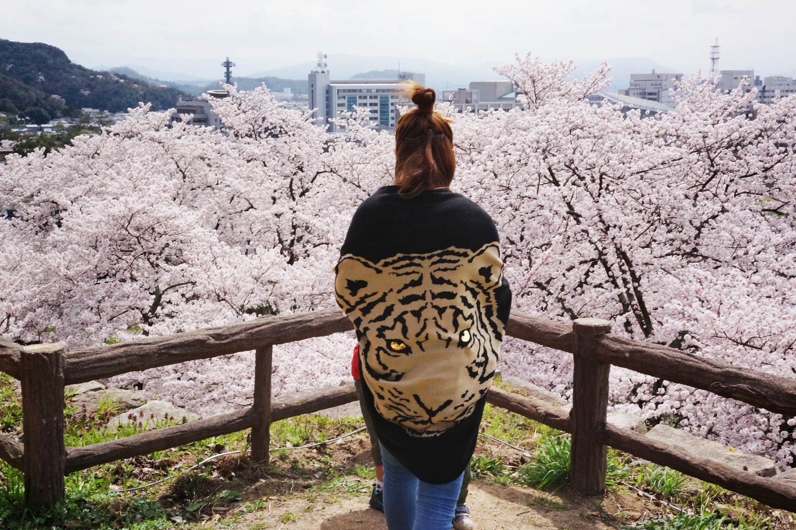 Japan, Tiger Woman | by Edas Wong
