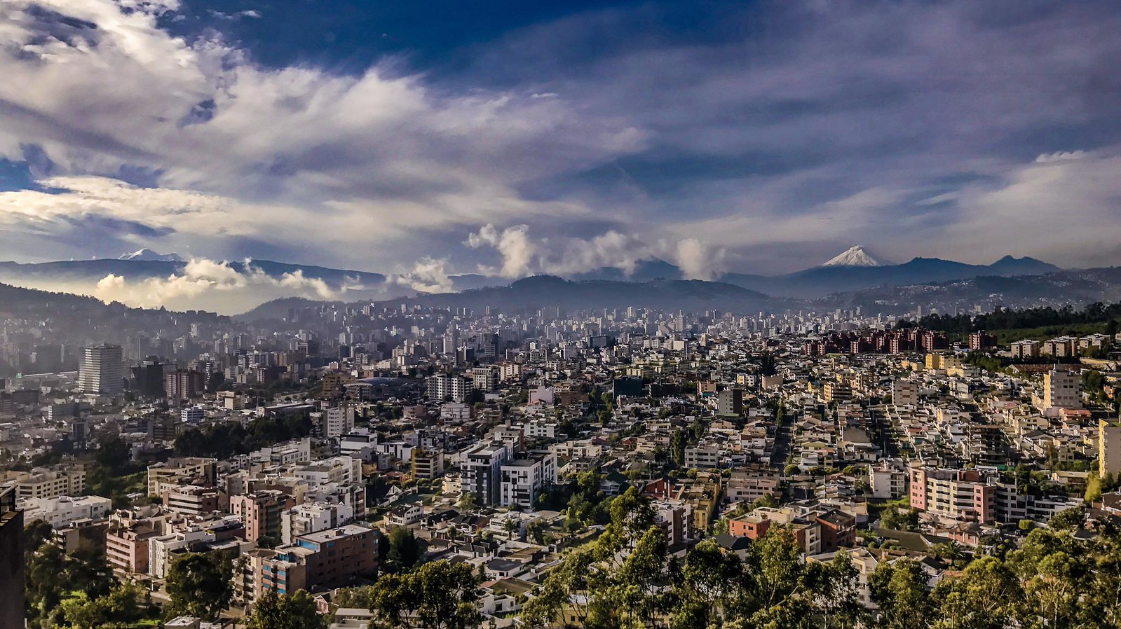 Acompanantes Colombia