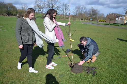 Kingsway Community Orchard planting session Mar 17 (35)