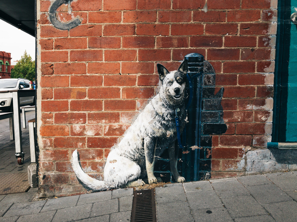 Happy doggo grafitti