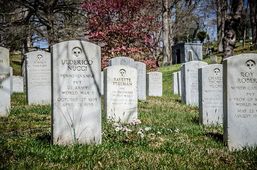Riverside Cemetery Asheville-062