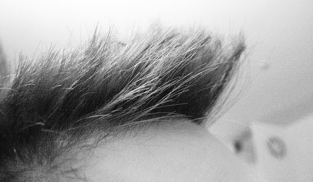 Hair: pelo