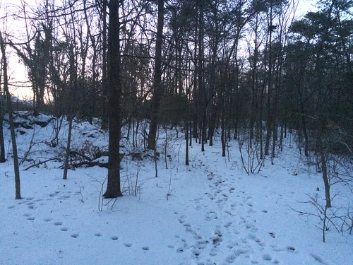Snowy Trail