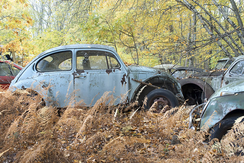 VW Graveyard (Explore)