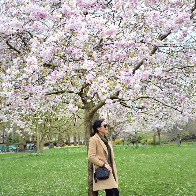 travel blogger,london,england,paris,france,jetsetter,international blogger,asian blogger,fashion blogger,lovefashionlivelife,joann doan,style blogger,stylist,what i wore,my style,fashion diaries,outfit,wanderlust,lifestyle blog
