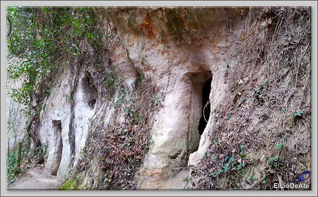Descubrir las Cuevas de los Portugueses 6