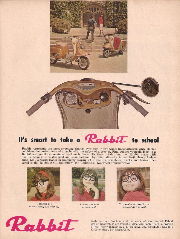 Rabbit scooter