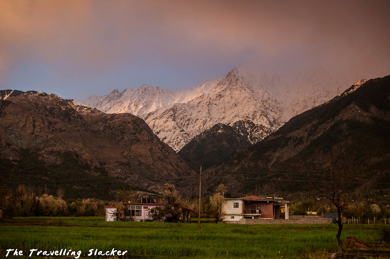 Sidhpur-Zen Valley (33)