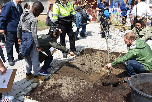 Earth Day At Edenwald with NYCHA
