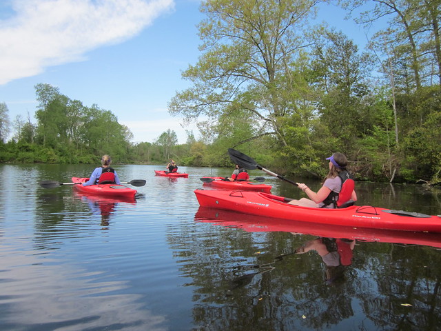 Kayaking is a neat way to glide quietly through the water for wildlife viewing and exercise at Westmoreland State Park, Virginia