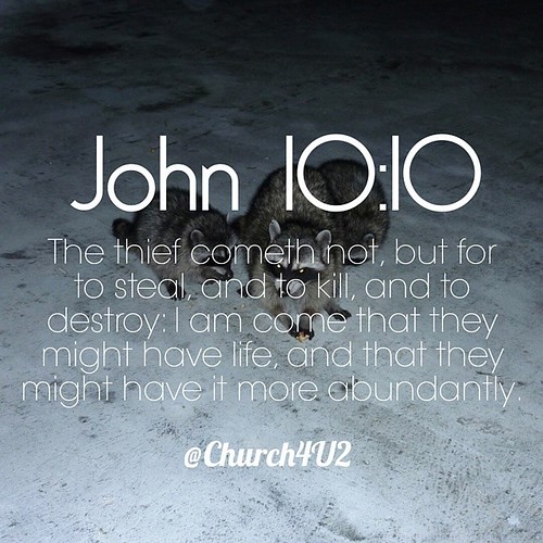 John 10:10 "The thief cometh not, but for to steal, and to kill, and to destroy: I am come that they might have life, and that they might have it more abundantly." #bibleverse