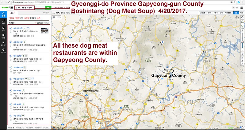 The mayor of Cedar City, Utah responds to call to action against the dog meat trade.