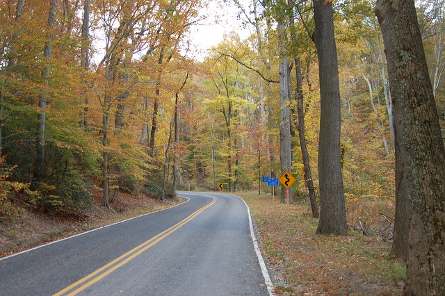 The scenic road leading down to the beach at Westmoreland State Park, Virginia on November  2, 2013