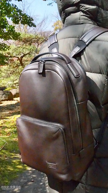 Tumi Harrison Webster Backpack