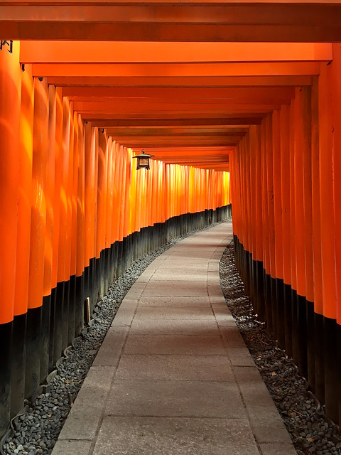 in Fushimi Inari