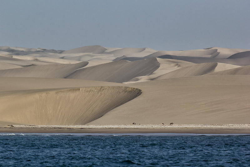 Skeleton coast, Namibia