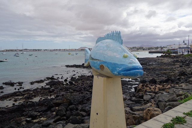Fuerteventura (Islas Canarias). La isla de las playas y el viento. - Blogs de España - Corralejo, Islote de Lobos (vuelta a la isla, ruta a pie) y Dunas de Corralejo. (2)