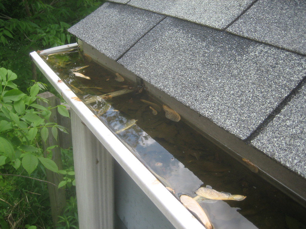 Image result for clean gutters