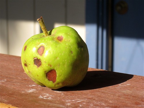 Bad Day for an Apple