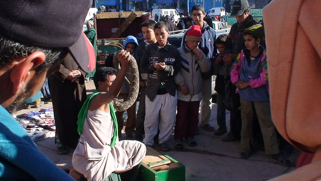 Snake charmer, Essaouira, Morocco