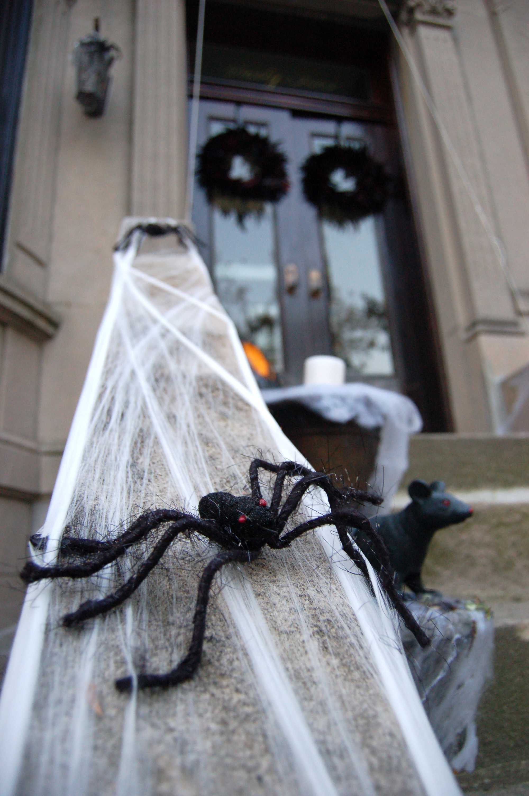 Spider Infestation Halloween www.brooklynlimestone.com