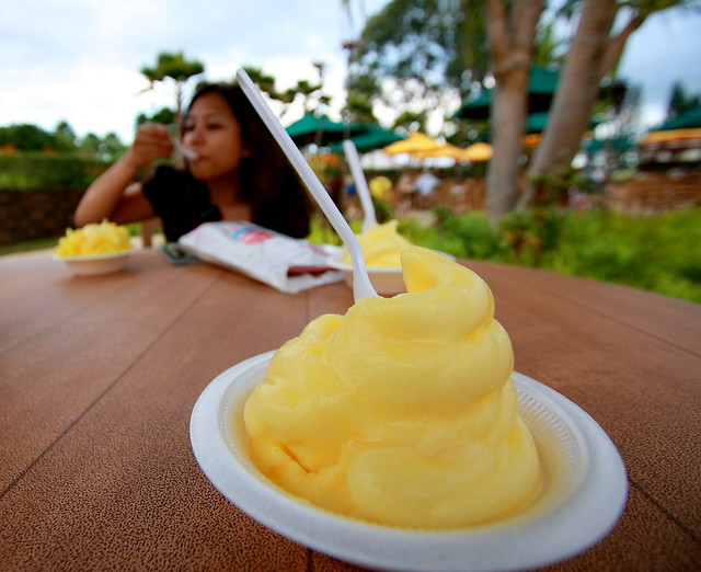 dole whip