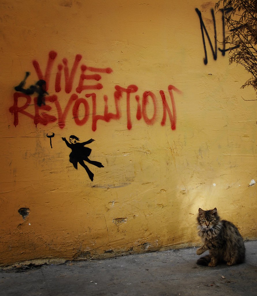 Image result for vive la révolution